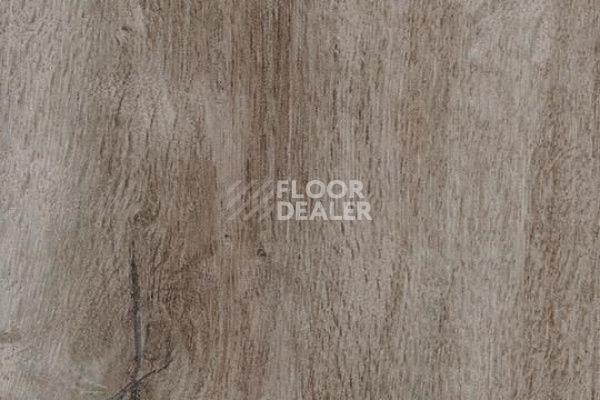 Плитка ПВХ Forbo Allura Decibel 8WHA02-3WHA02 dusky harvest oak фото 1 | FLOORDEALER